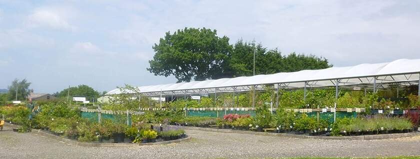 Garden centre for trade and wholesale
